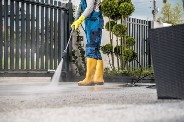 Best Rust Removal  in Reidsville, GA